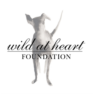 Bird + Wolf partners with Wild at Heart Foundation